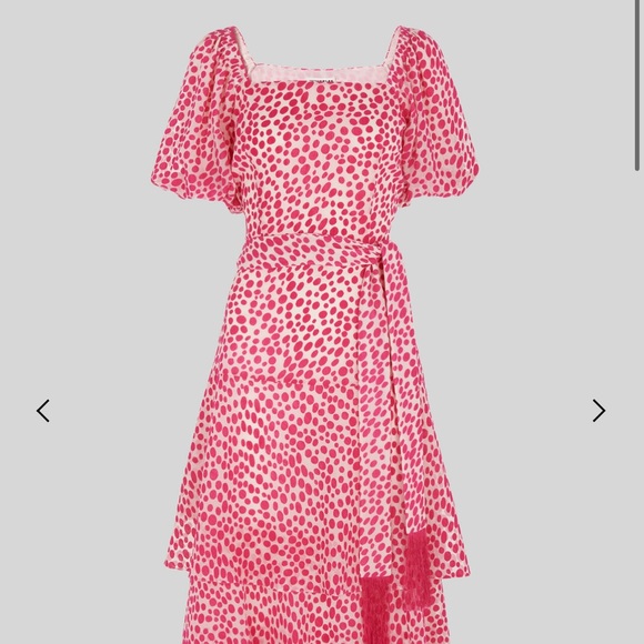 Whistles Viola short sleeve midi pink dot dress sz 2 US /6 UK - Picture 4 of 12